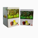 Cutii Bag in Box mere (3L,5L)